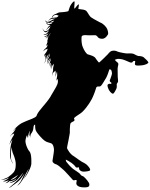 150x190 Rearing Up Images Spiderpic Royalty Free Stock Photos