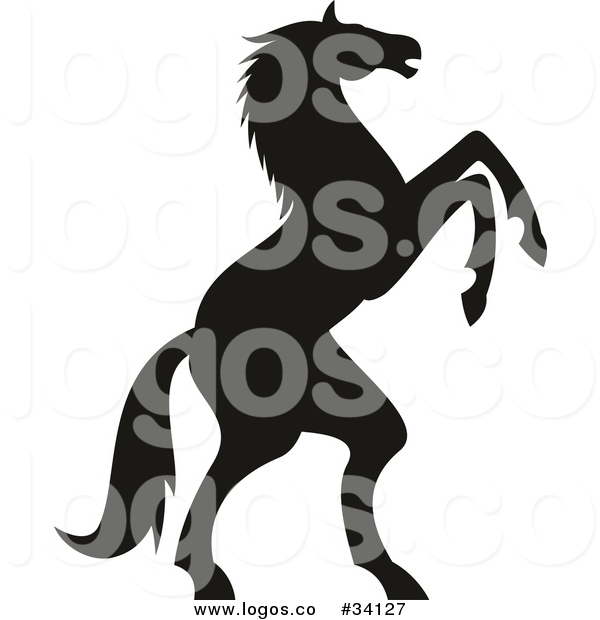 Rearing Stallion Silhouette at GetDrawings | Free download