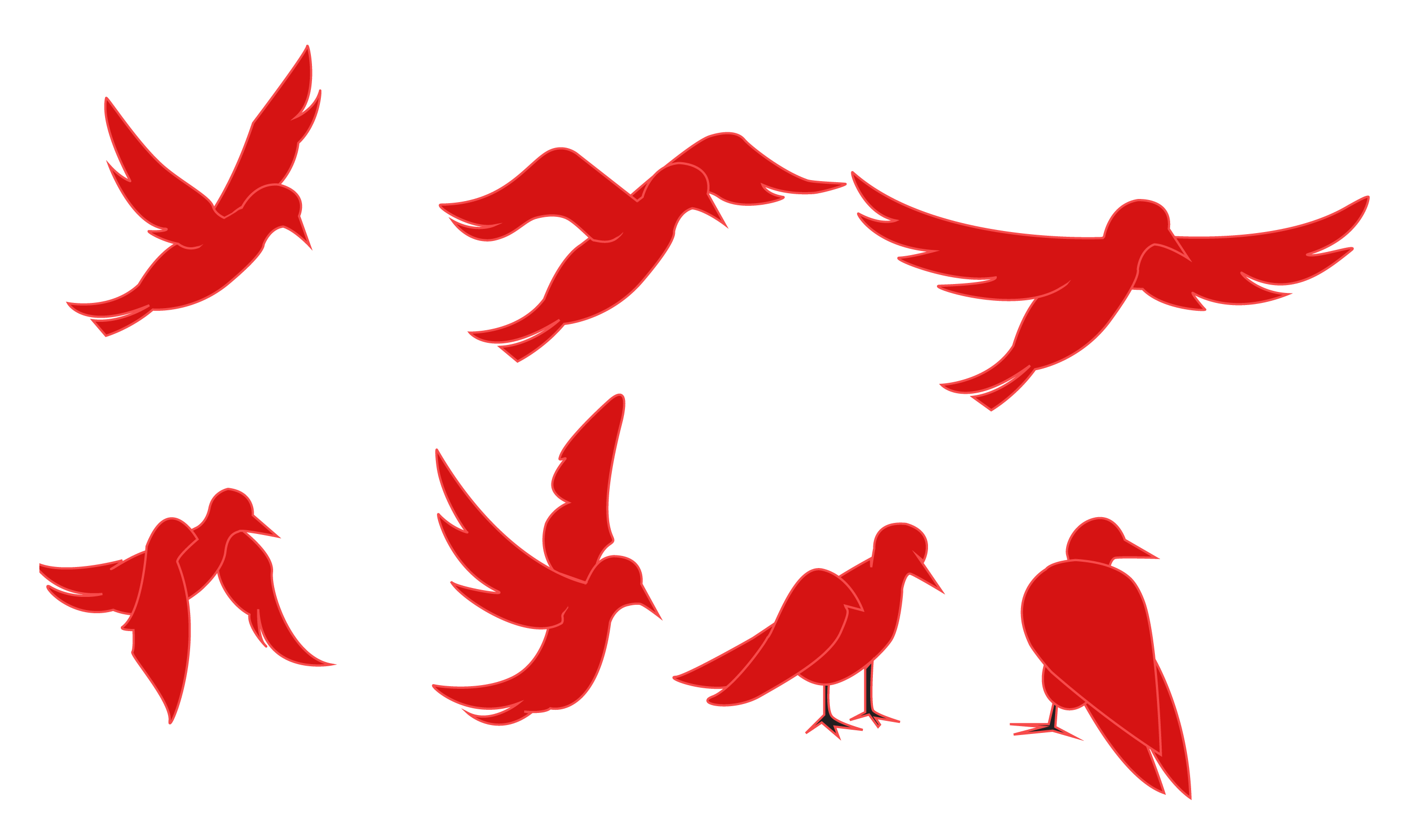 2700x1600 Animation Of A Silhouette Of A Bird On A White Background Stock
