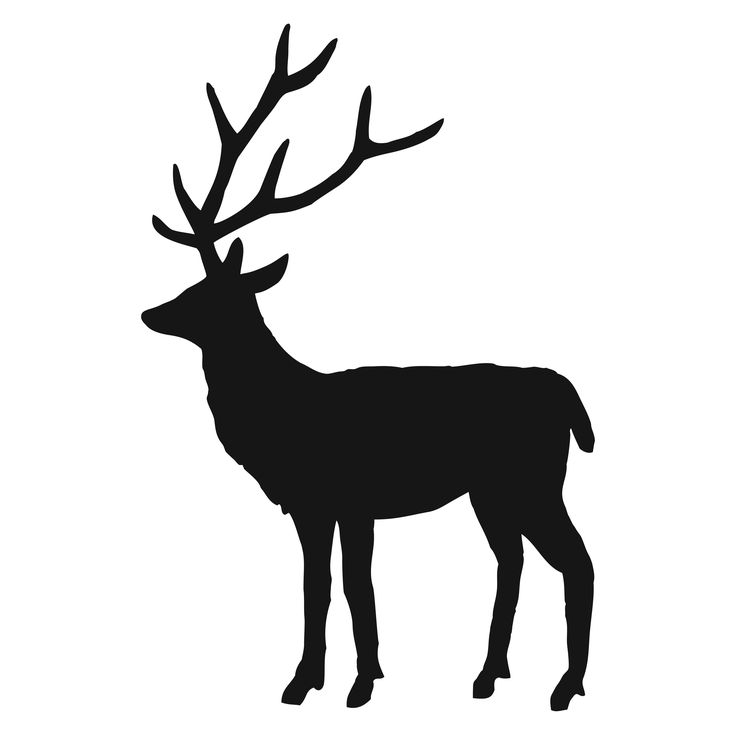 736x736 Free Stag Silhouette, Hanslodge Clip Art Collection