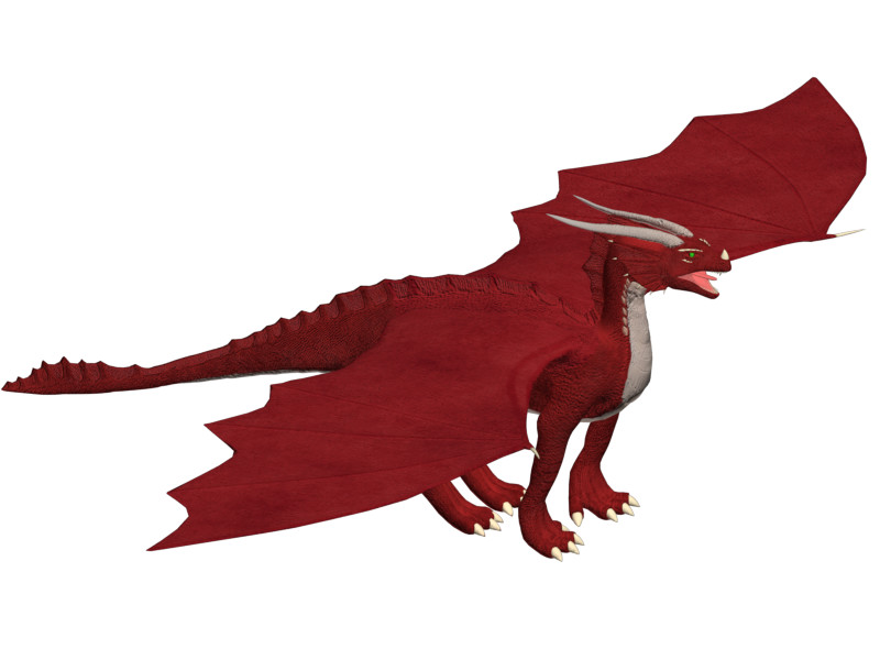 800x600 Andre Belanger