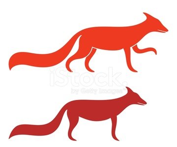 360x300 Fox Stock Vectors