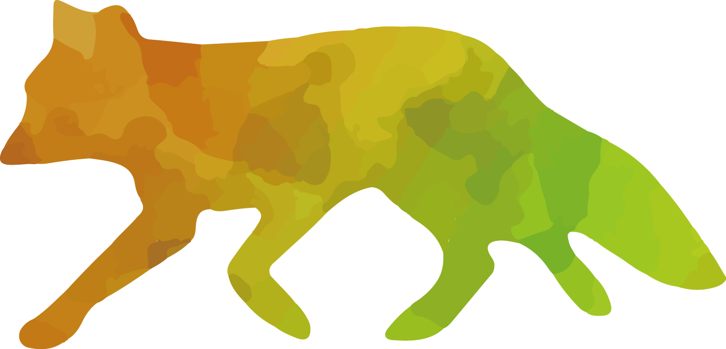 1477x710 Red Fox Whiskers Silhouette