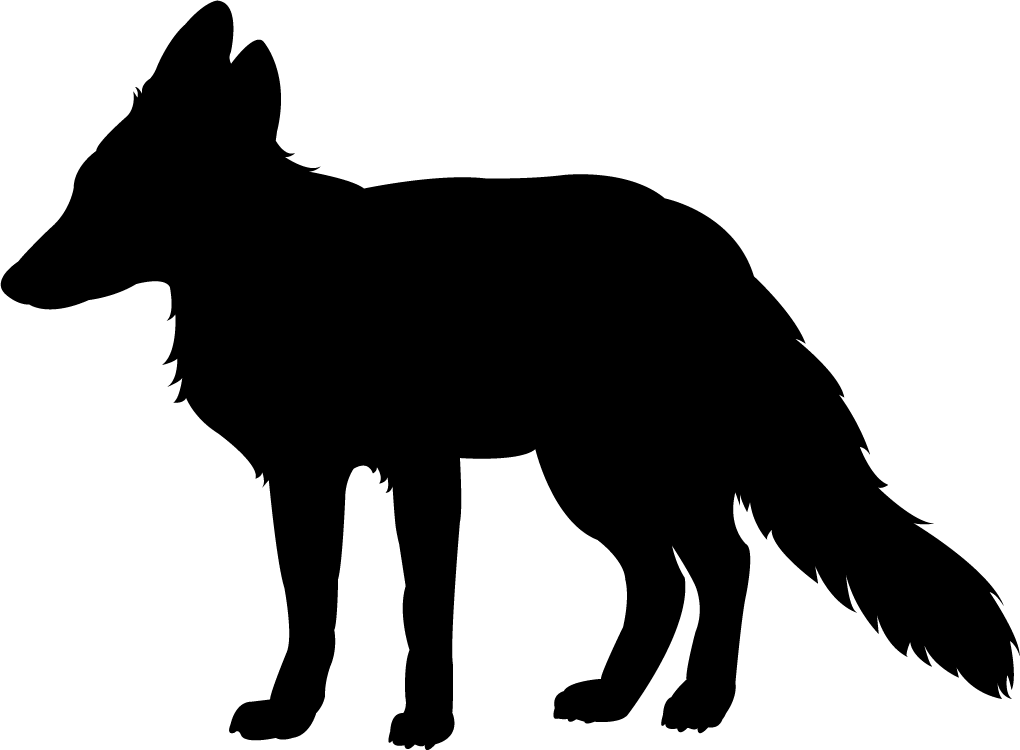 1020x750 Red Fox Black Silhouette