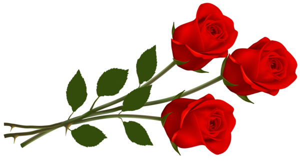 600x336 Large Red Roses Png Clipartu200b Gallery Yopriceville