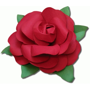 300x300 Silhouette Design Store