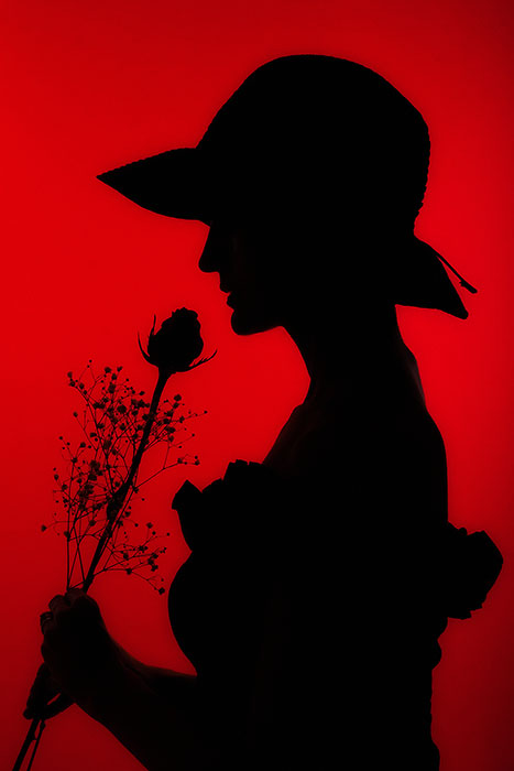 467x700 The Rose