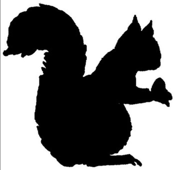 Red Squirrel Silhouette