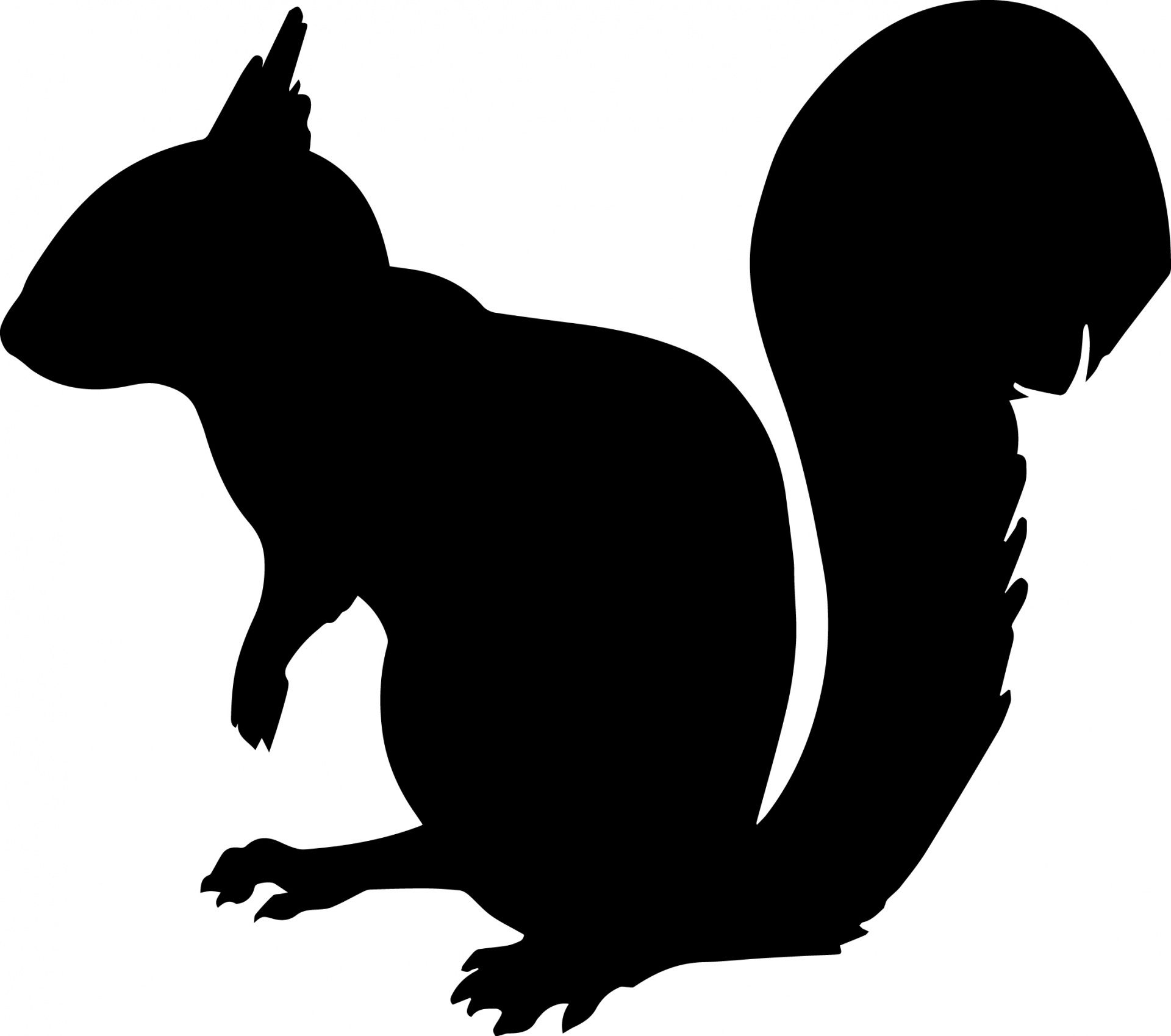 1920x1699 Squirrel Silhouette Nb Squirrel, Silhouettes