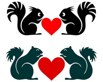 340x270 Squirrel Svg Etsy