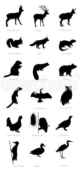 260x540 Illustration Of Silhouettes Of The Pyrenean Animals, Roe Deer