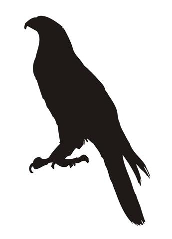 345x480 Hawk Silhouette Decal Sticker