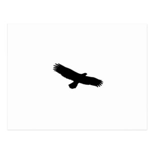 307x307 Hawk Silhouette Postcards Zazzle