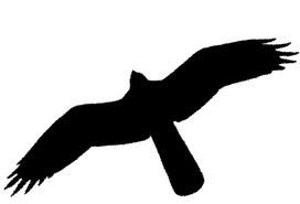 272x185 Yurtbiostudents