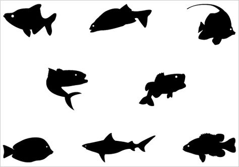 474x332 481 Best Fishing Silhouettes, Vectors, Clipart, Svg, Templates