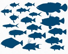 236x187 Fish Silhouette Vectors, Photos And Psd Files Free Download