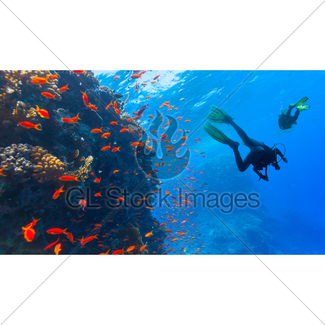 325x325 Scuba Diver Explore A Coral Reef Gl Stock Images