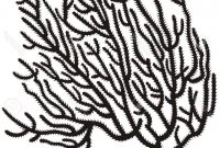 200x135 Top Coral Reef Outline Vector Library