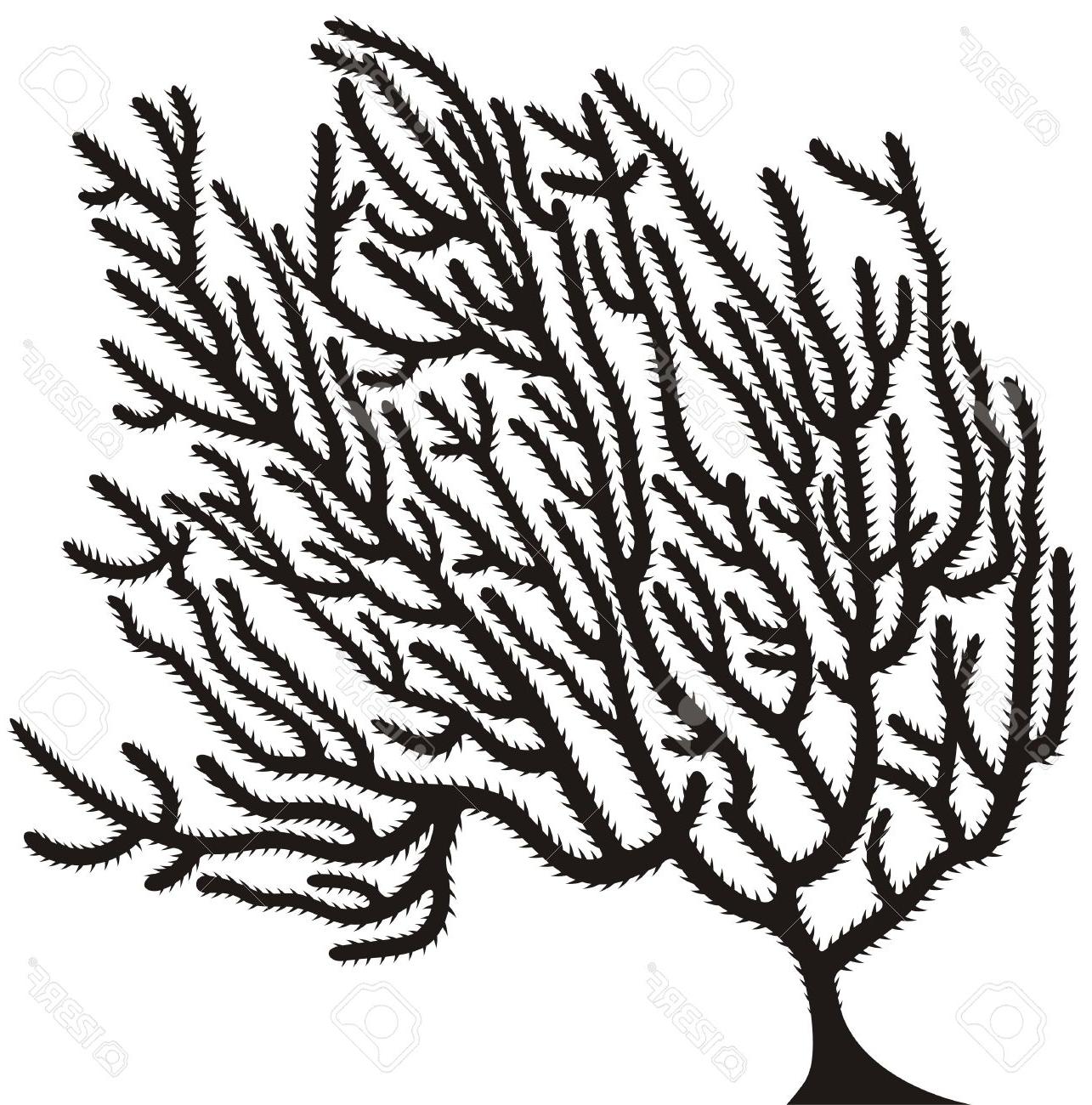 1285x1300 Unique Coral Stock Vector Reef Silhouette File Free