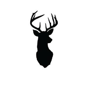 300x298 Waterslide Nail Decals