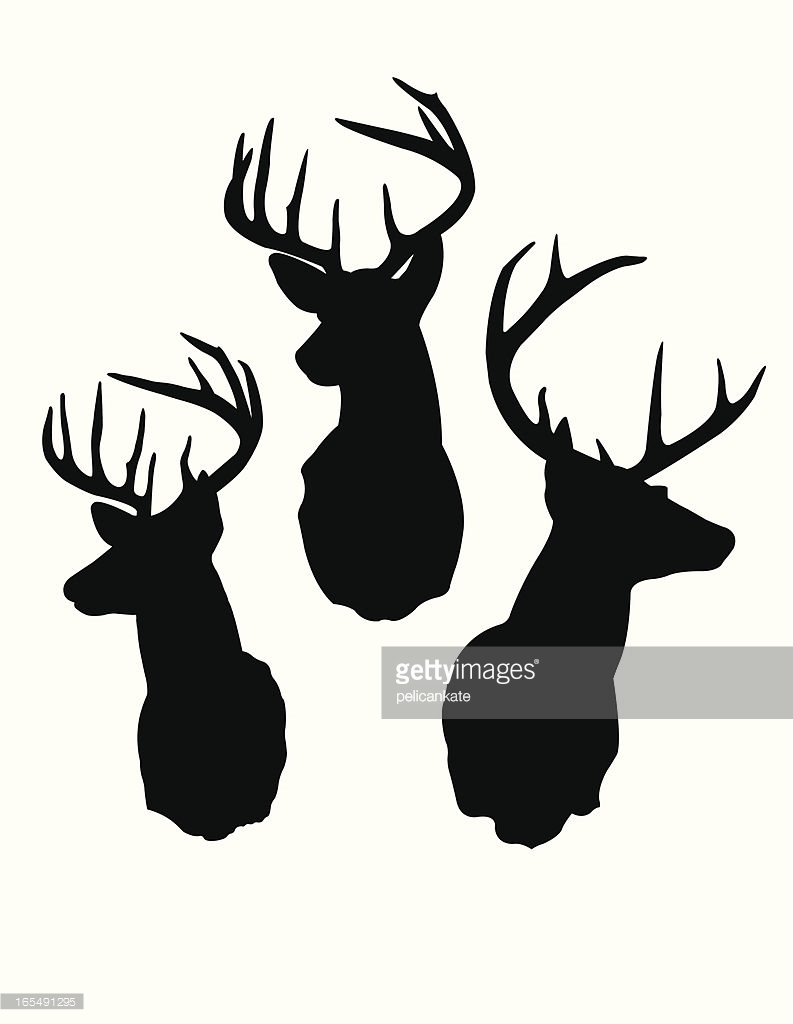 793x1024 Deer Head Silhouettes Vector Art Getty Images Magnificent Antler