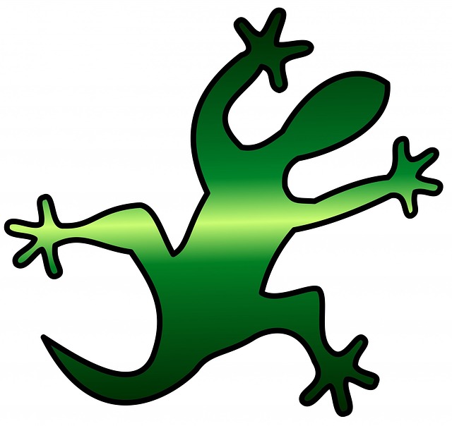 640x604 Green, Lizard, Animal, Reptile, Silhouette, Outline