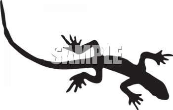 350x224 Gecko Clipart Reptile