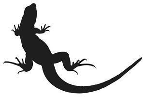 300x200 Lizard Silhouette Sticker Gekko Reptile Love Fun Choose Color Ebay