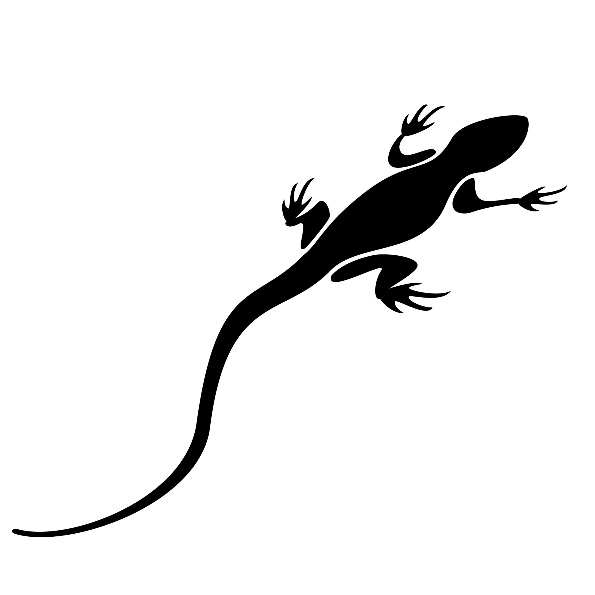 1920x1920 Lizard Black Silhouette Free Stock Photo