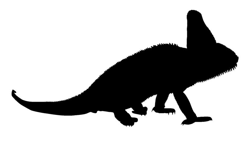 834x480 Lizard Silhouette 2 Decal Sticker