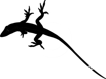 The best free Lizard silhouette images. Download from 84 free ...