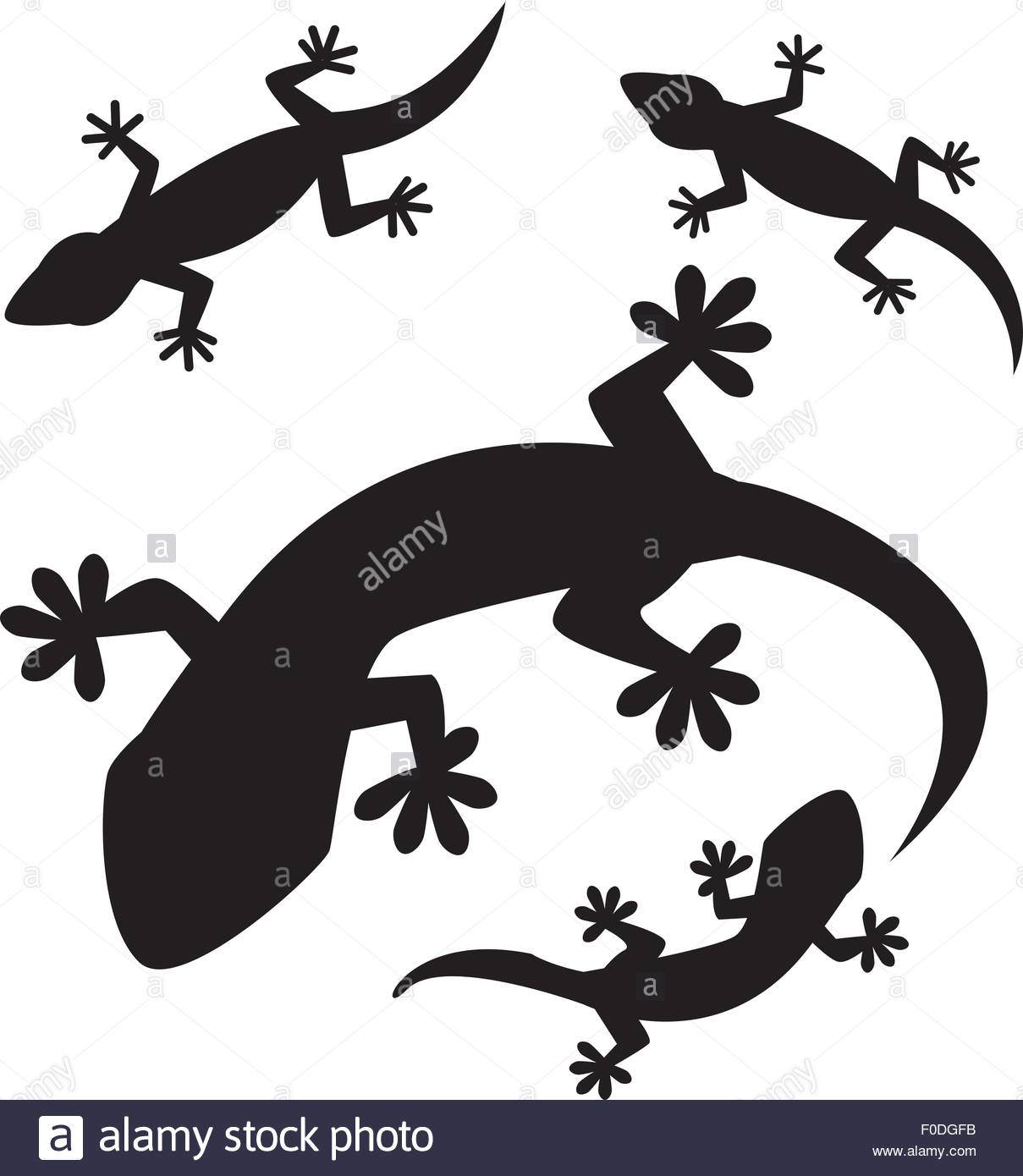1209x1390 Lizards Stock Vector Images