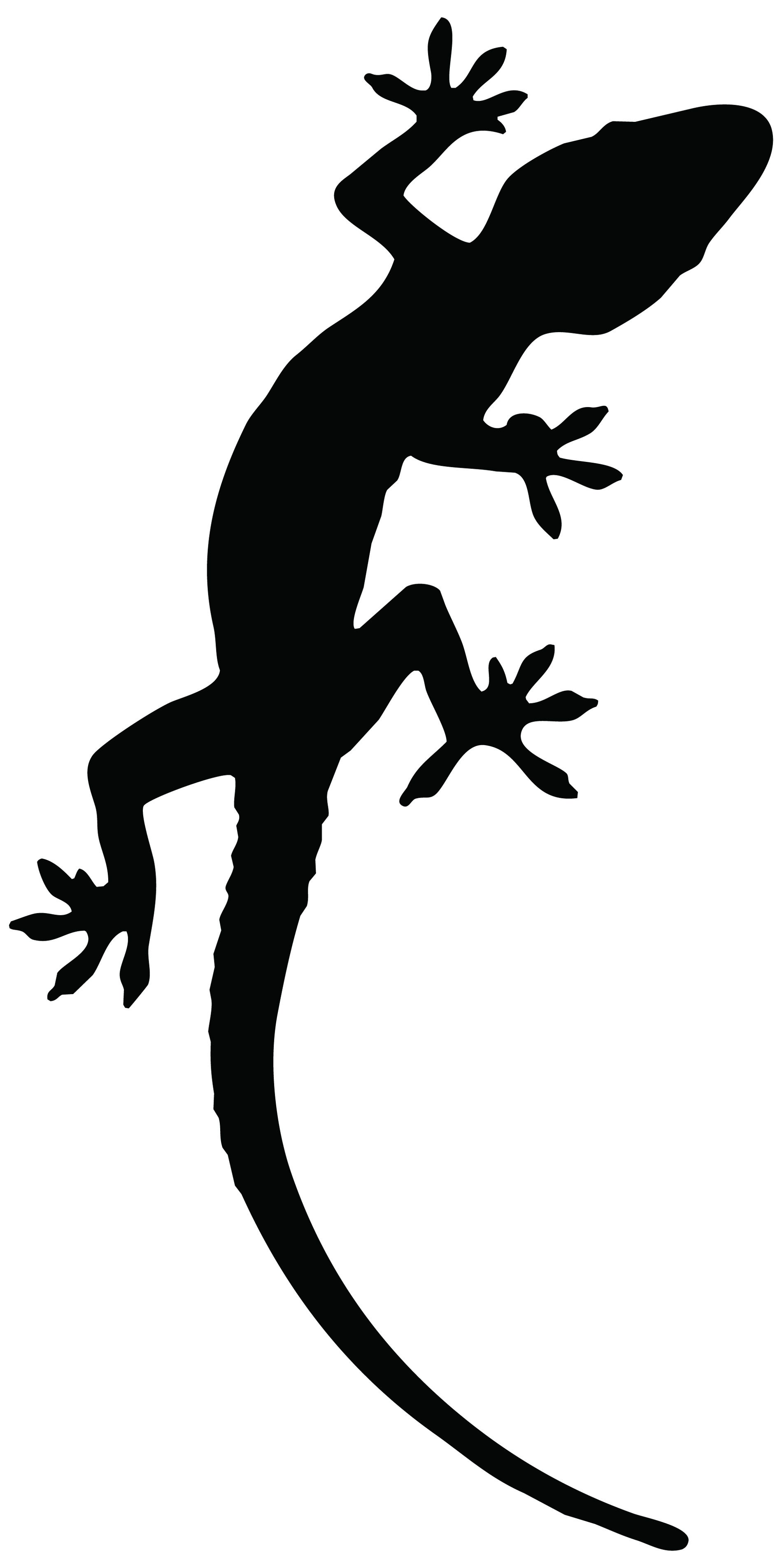 1900x3809 Reptile Lizard Tattoo Stencil Photo