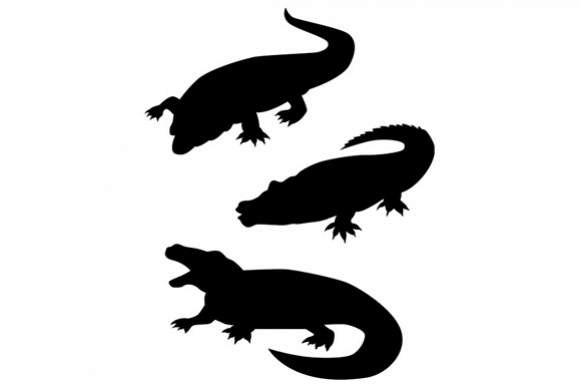580x387 Reptile Silhouettes Reptiles And Silhouettes