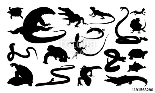 500x300 Set Of Reptile Silhouette Vector Illustration Stock Image
