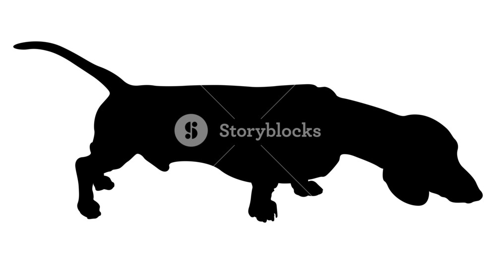 1000x533 Retriever Dog Silhouette Royalty Free Stock Image