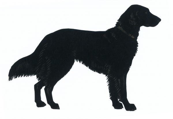600x415 Silhouette Of A Labrador Retriever, Standing In Profile