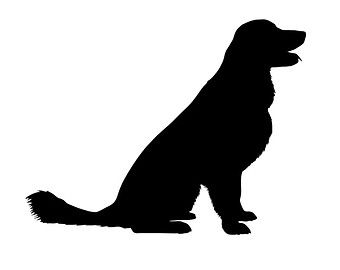 340x270 Golden Retriever Silhouette
