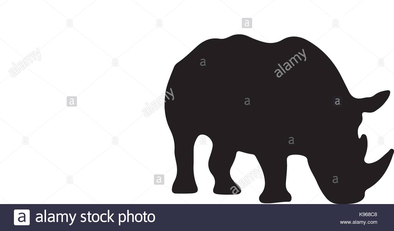 1300x763 Rhino Stock Vector Images