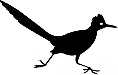 Road Runner Silhouette at GetDrawings | Free download