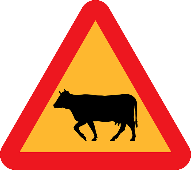 640x568 Sign, Silhouette, Traffic, Farm, Cow, Transportation