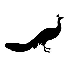 270x270 Peacock Silhouette Stencil Free Stencil Gallery