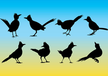 352x247 Roadrunner Icons Vector Free Vector Download 374369 Cannypic