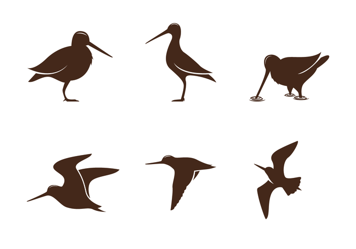 700x490 Snipe Silhouette Vector