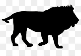 260x180 White Lion Png And Psd Free Download