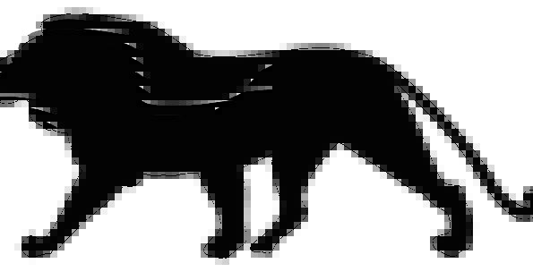 595x304 Lion, Outline, Mammal, Creature, Silhouette, Zoo, Wildlife, Nature