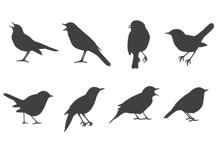 700x490 Free Nightingale Vectors