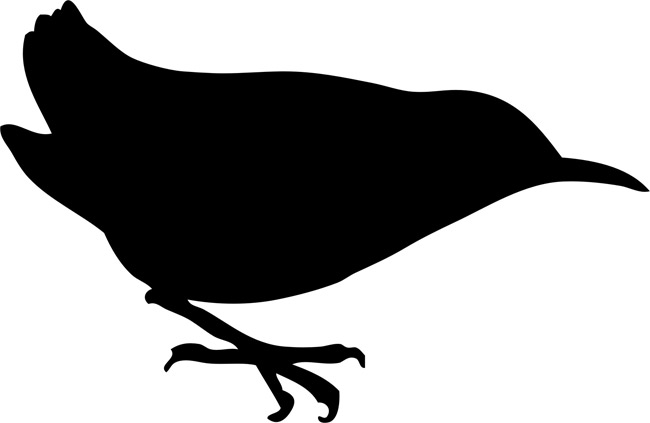 650x423 Robin Bird Stencils