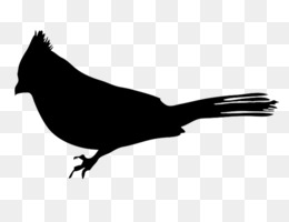 260x200 Robin Dr400 Airplane Aircraft Mudry Cap 10 Silhouette