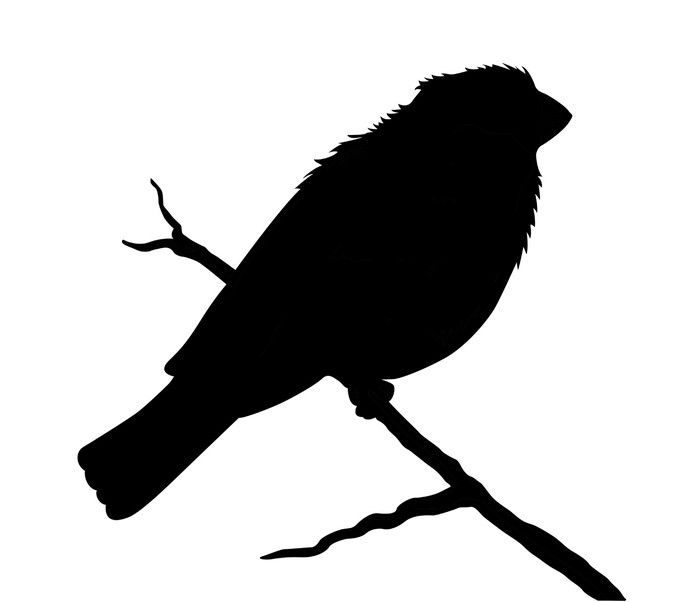 700x602 Bird Silhouette On White Background Wall Mural We Live